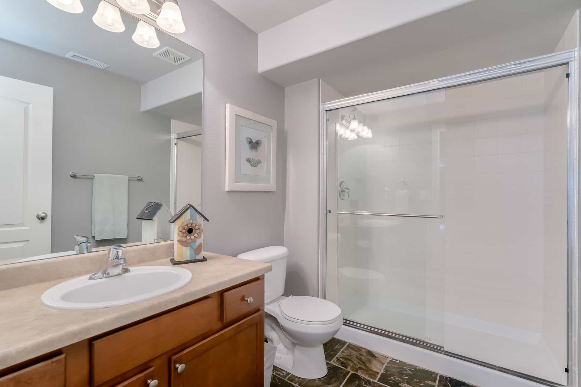 Basement Bathroom