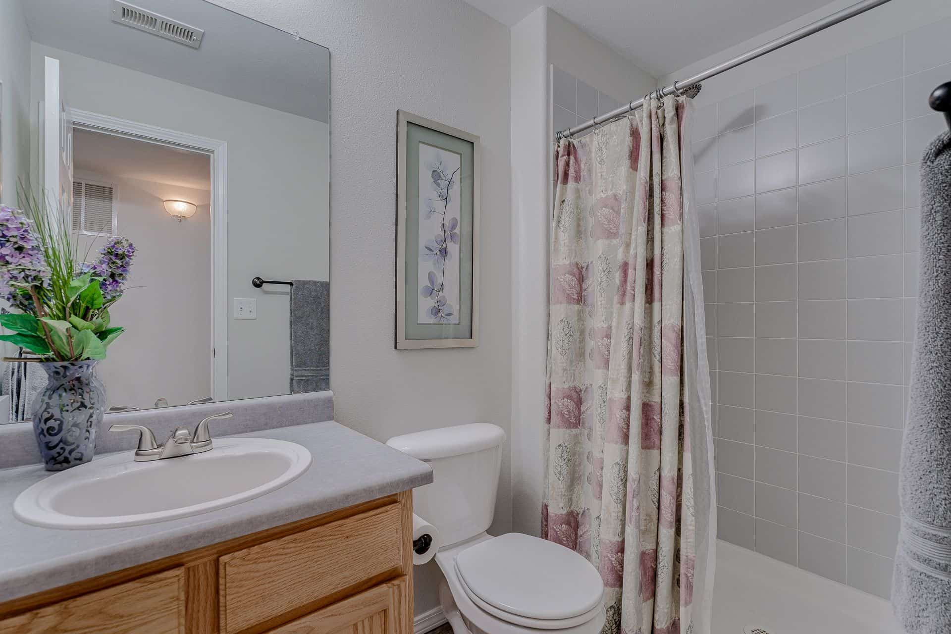 Basement Shower Bathroom