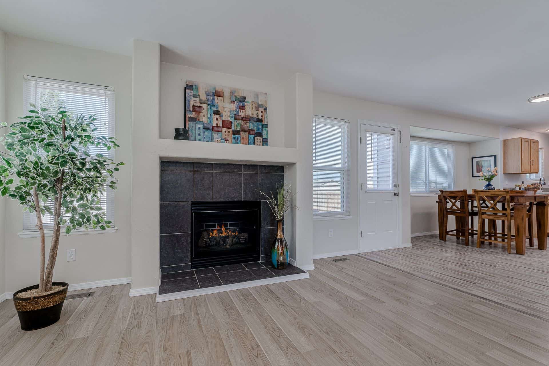 Living Room Fireplace