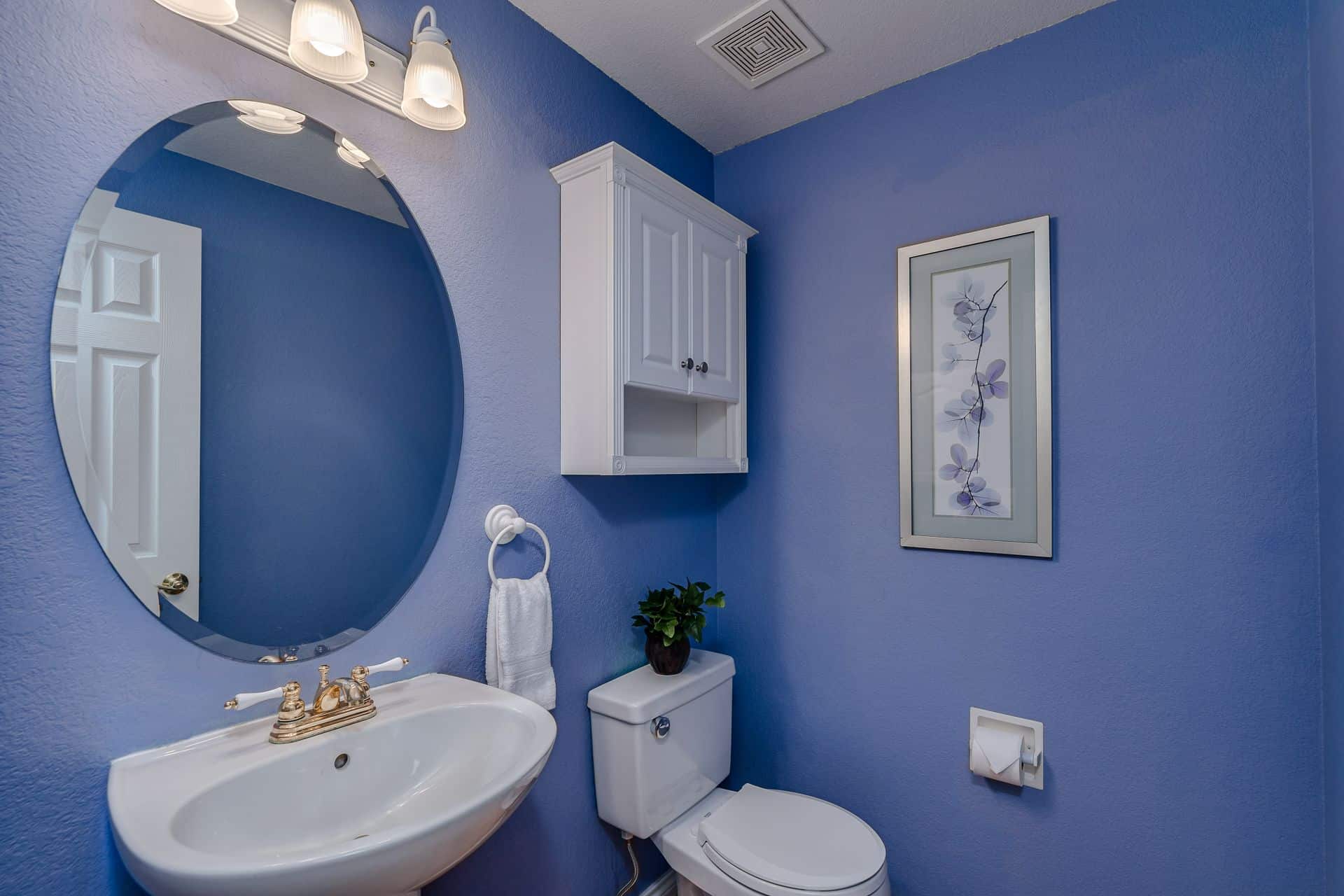 Powder Bathroom off the Entry