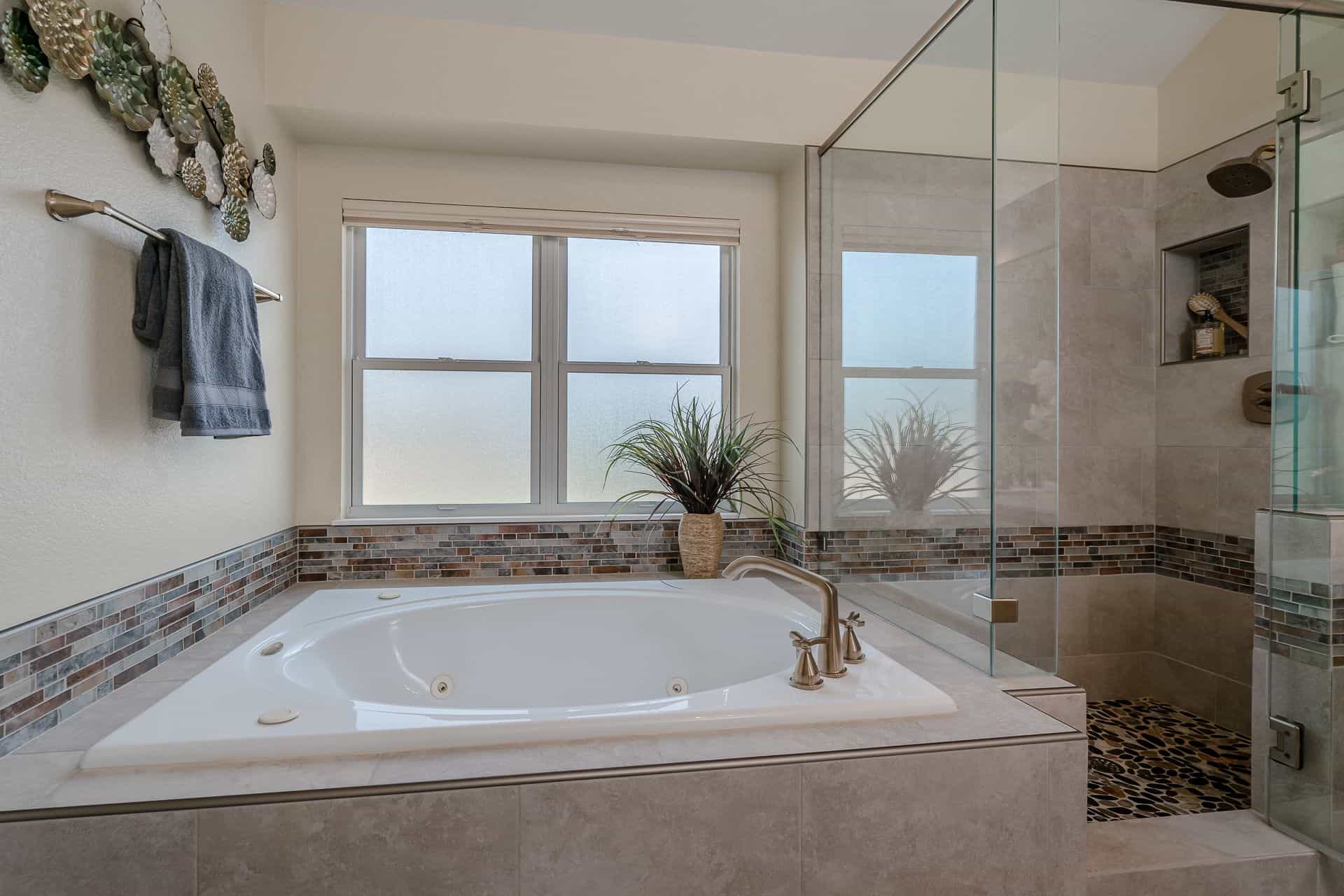 Master Tub and Shower