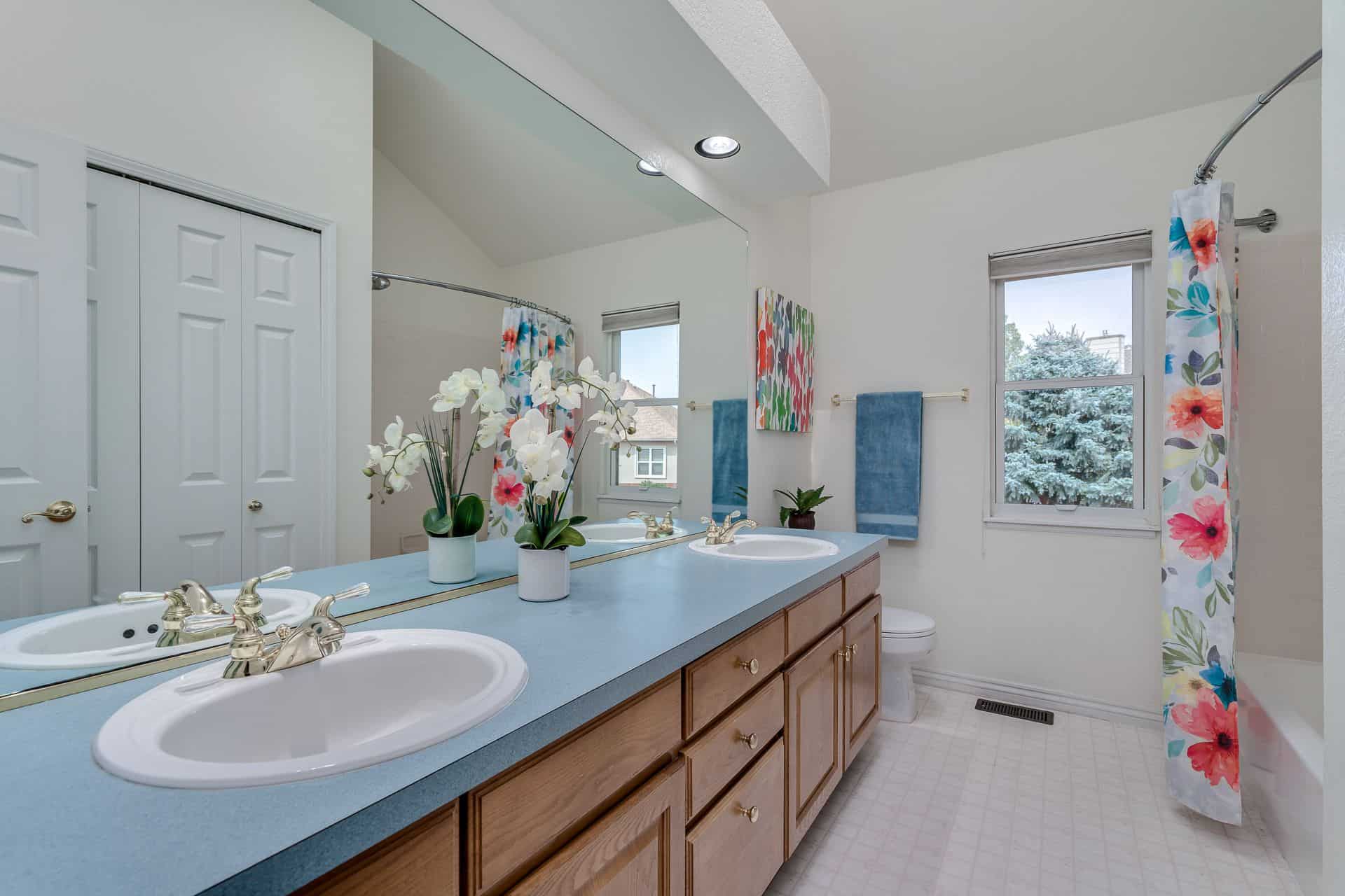 Upper Level Hall Bathroom