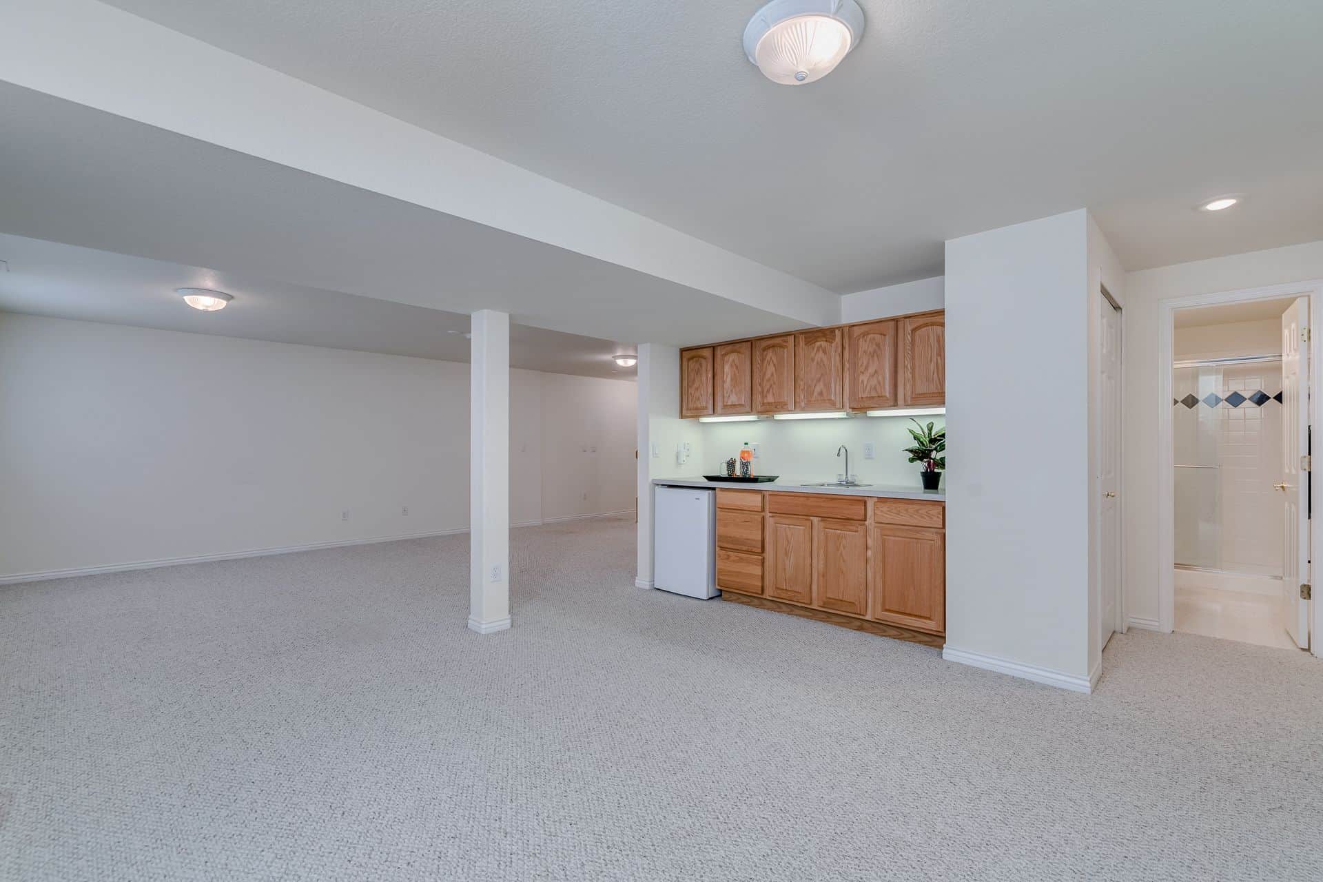 Basement Rec Room with Wet Bar