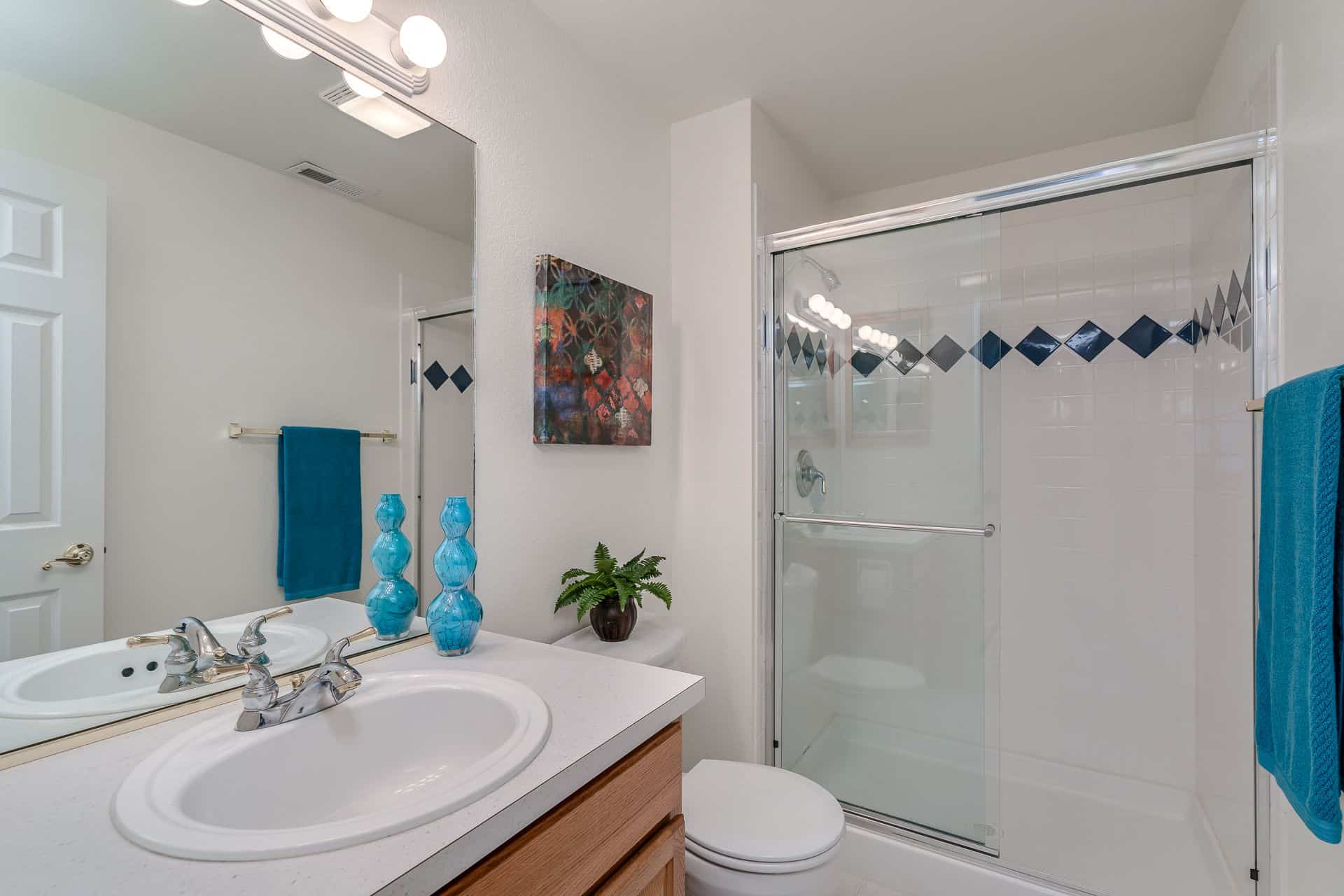 Basement Shower Bathroom