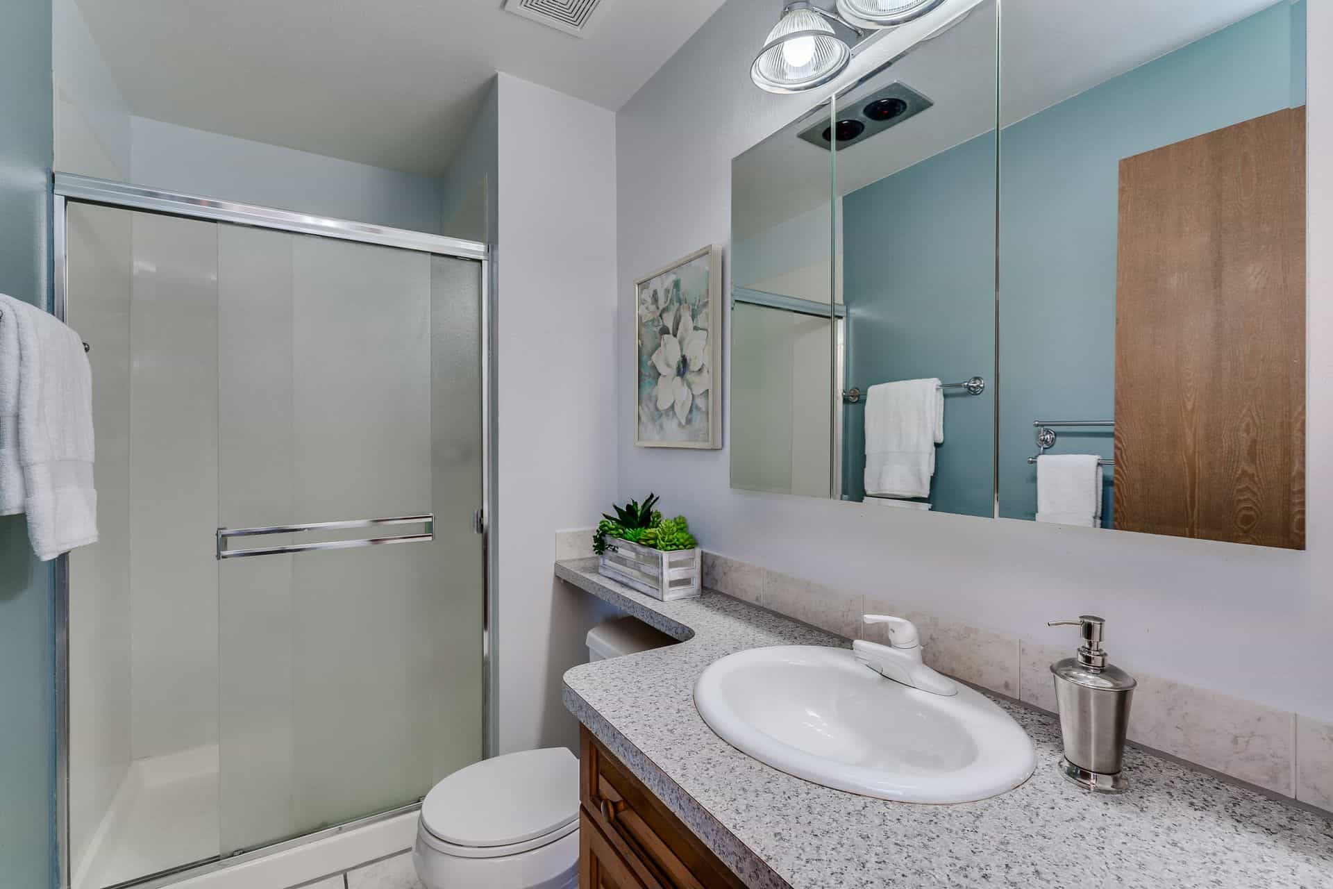 Master Shower Bath