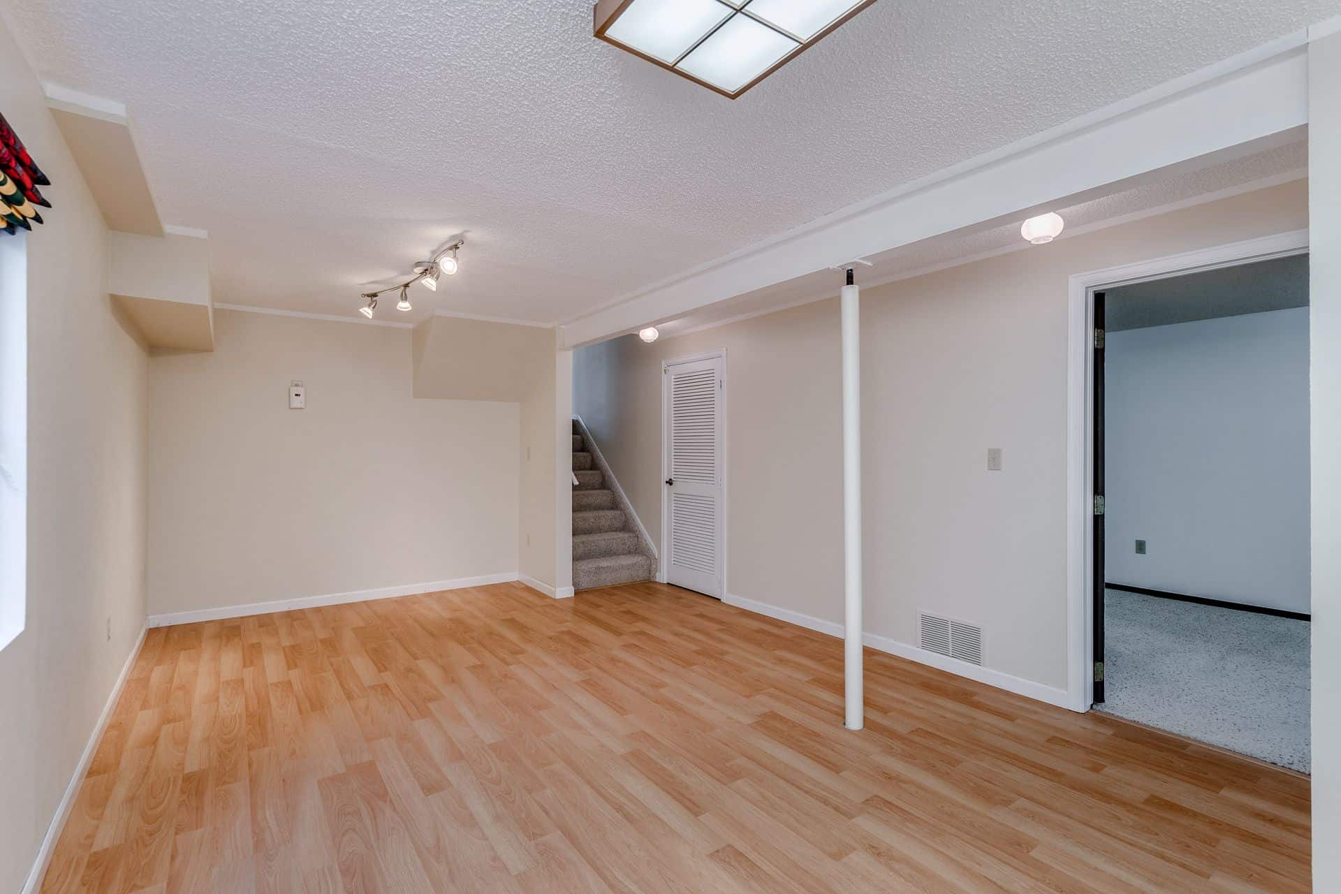 Basement Recreation Room
