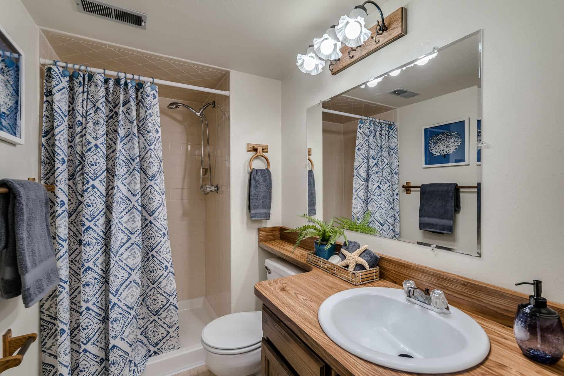 Basement Bathroom