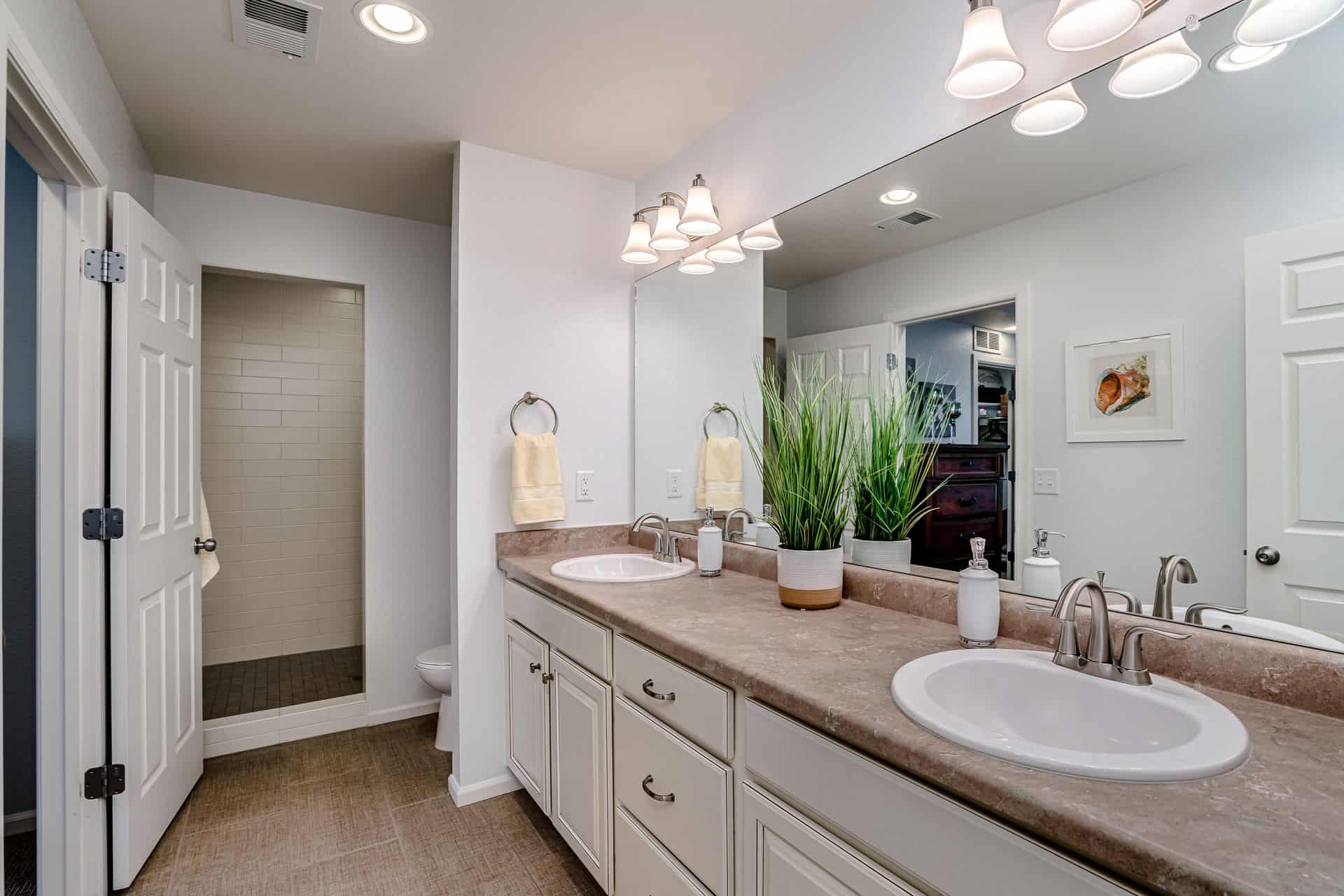 Upper Lower Shower Bathroom