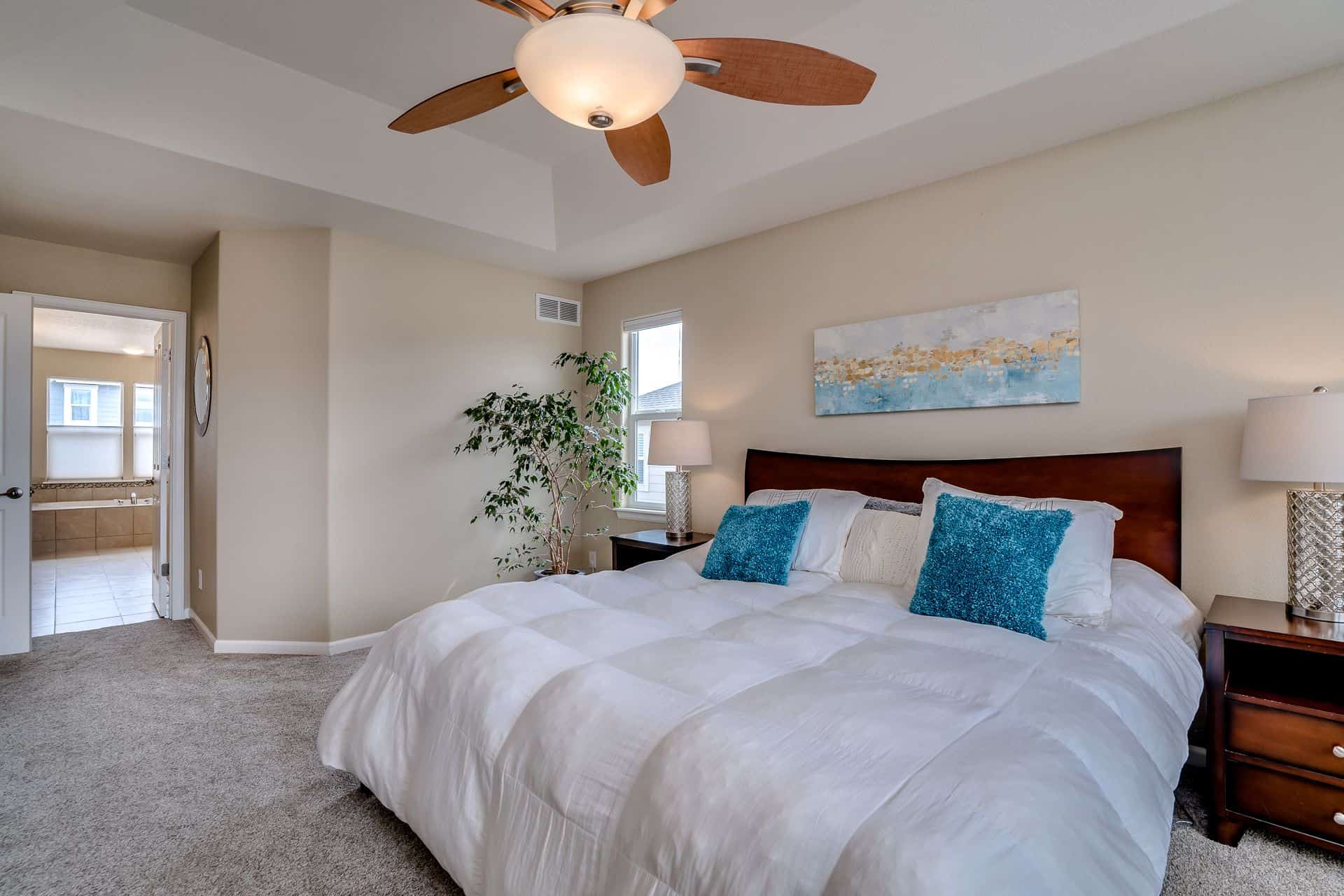Master Bedroom into Master Bathroom