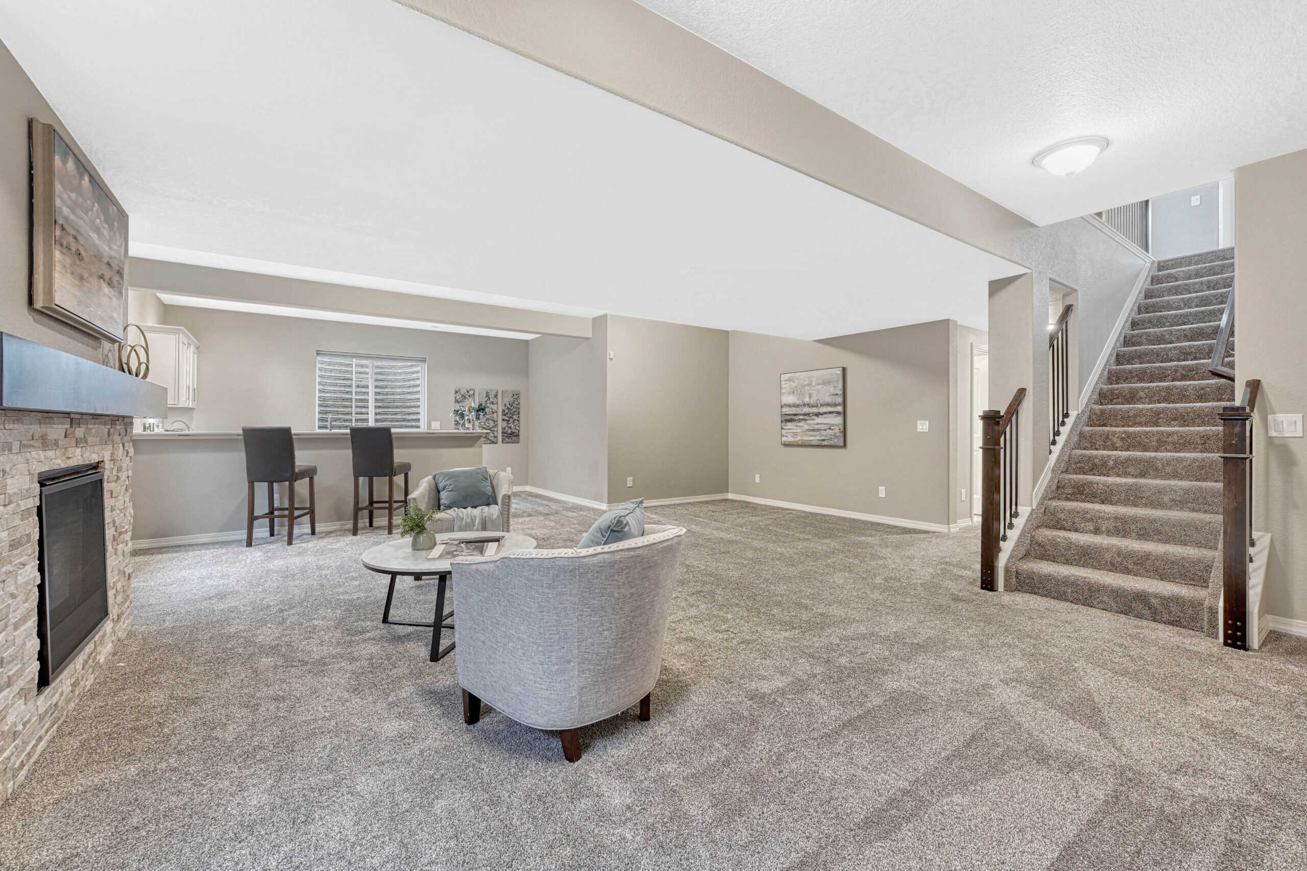 Basement Family Room