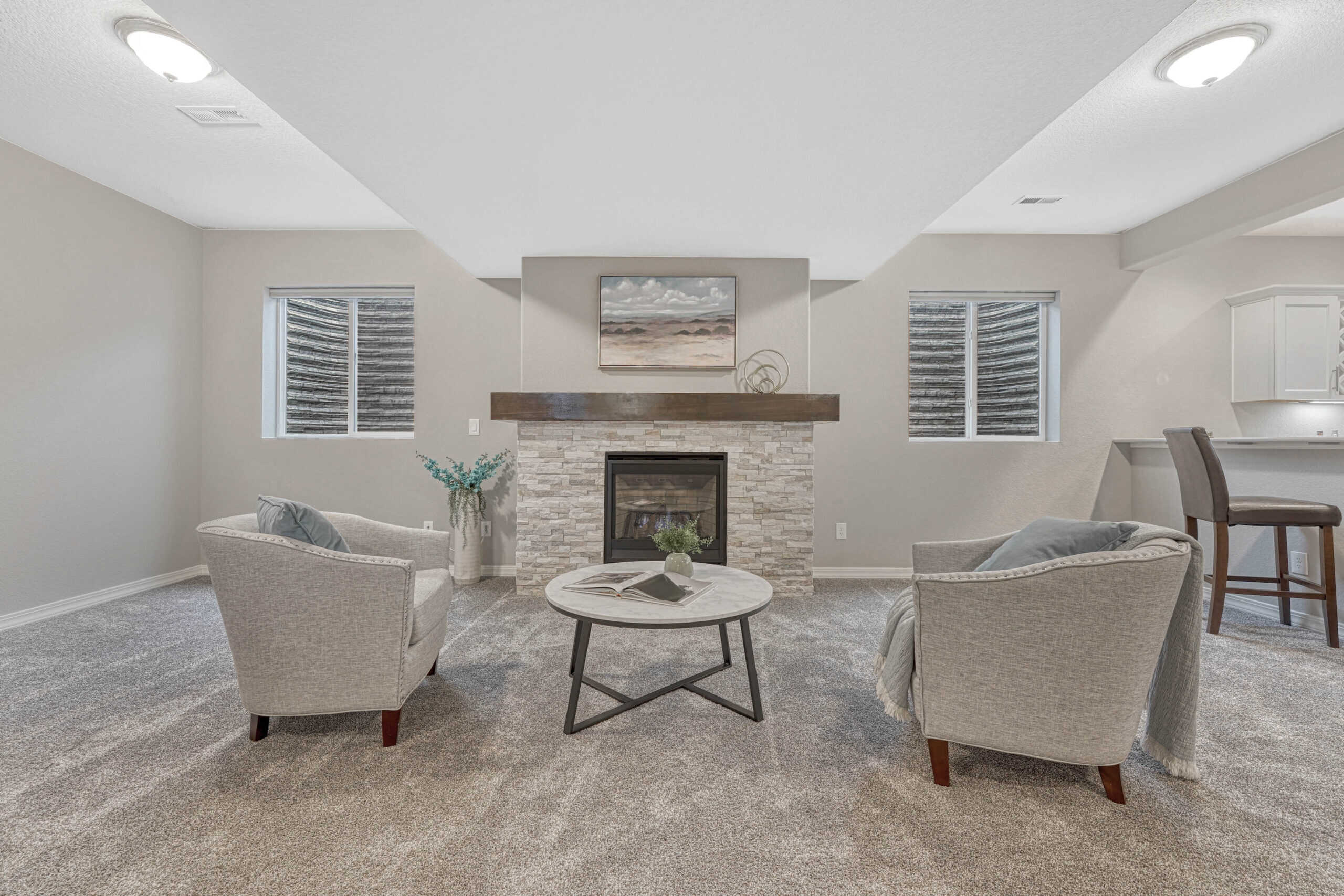 Basement Family Room