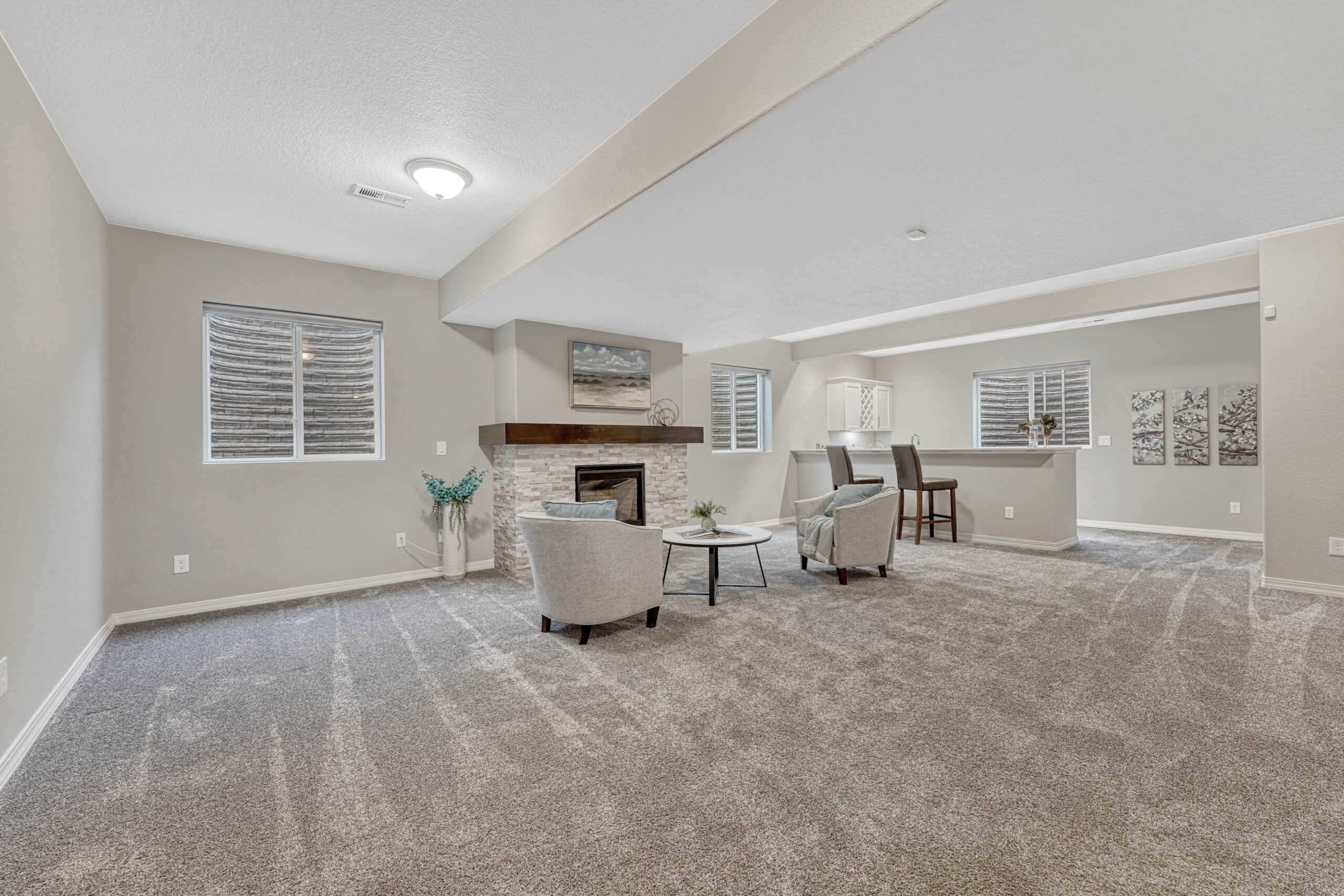 Basement Family Room and Wet Bar